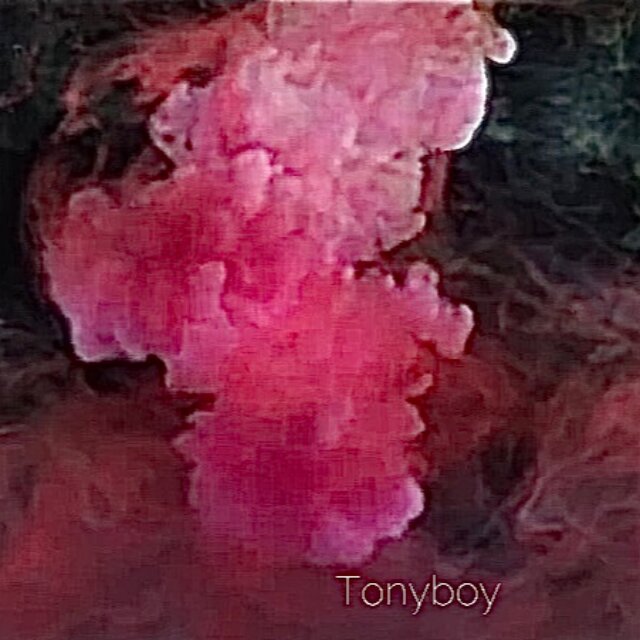 The Pink