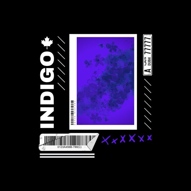 INDIGO