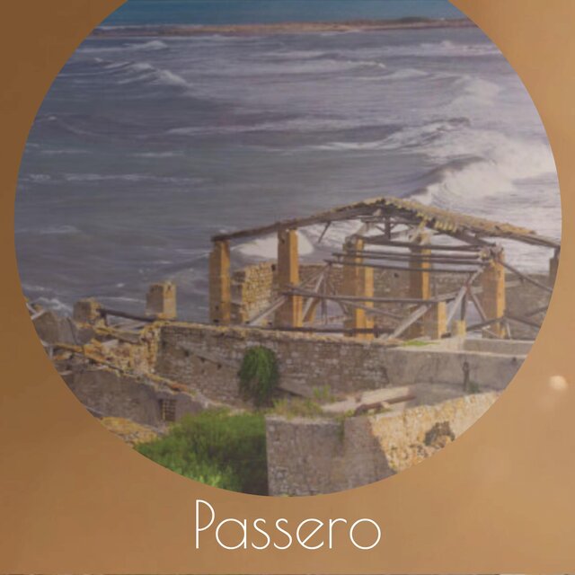 Passero