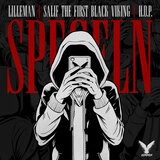Spegeln