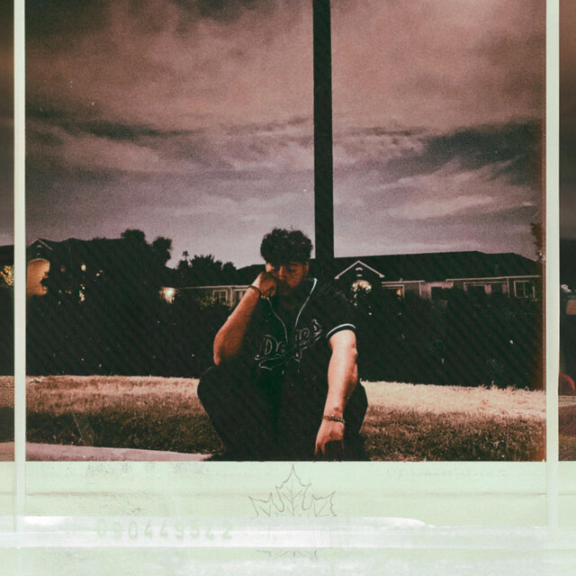 MAPLE, Vol. 1