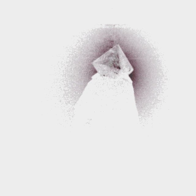 pale death