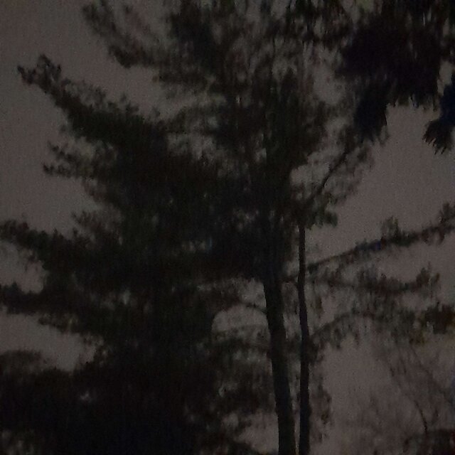 Don't Leave