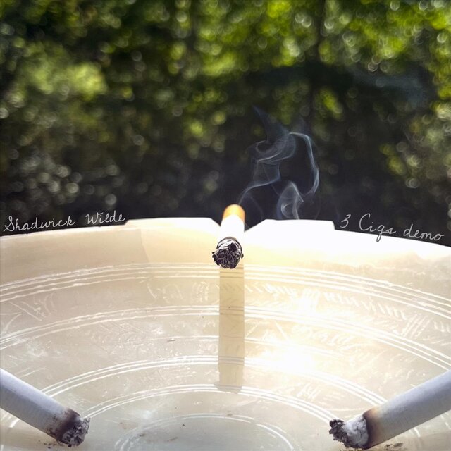 Cover art for album  by Shadwick Wilde