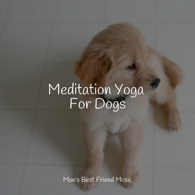 Meditation Yoga For Dogs