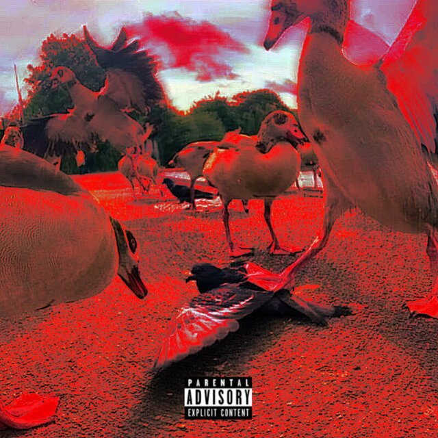 Bird$hitRecords