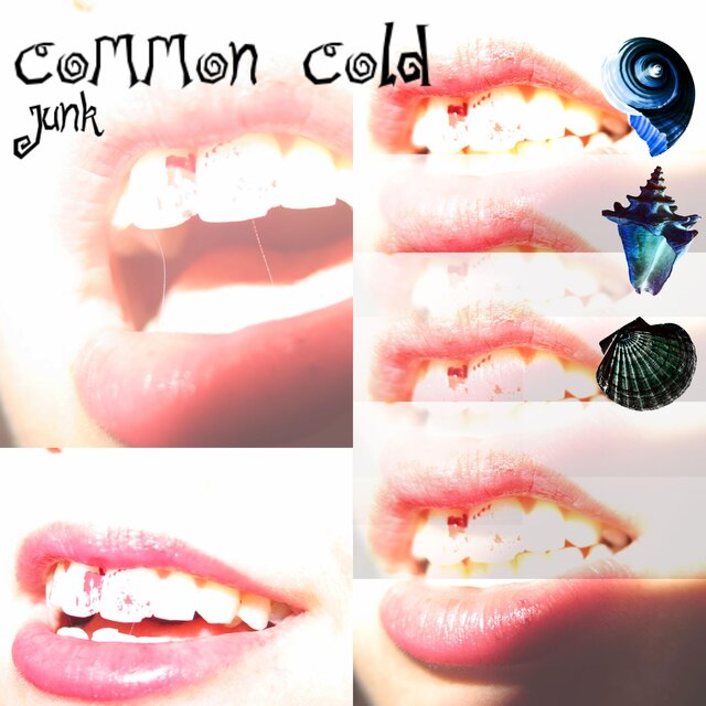 Cover art for album  by Junk