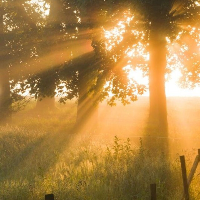 light of dawn