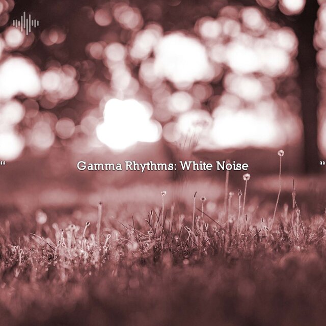 " Gamma Rhythms: White Noise "