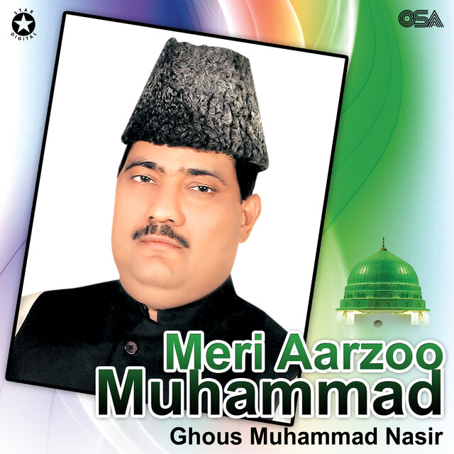 Meri Aarzoo Muhammad