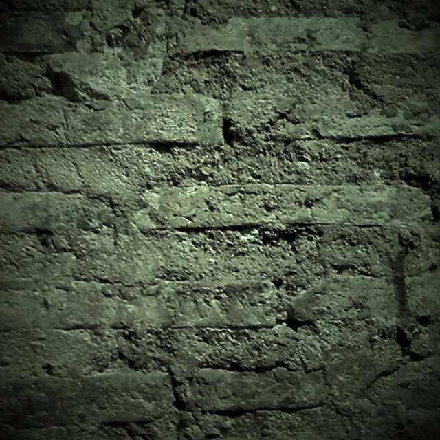 Ensaios I