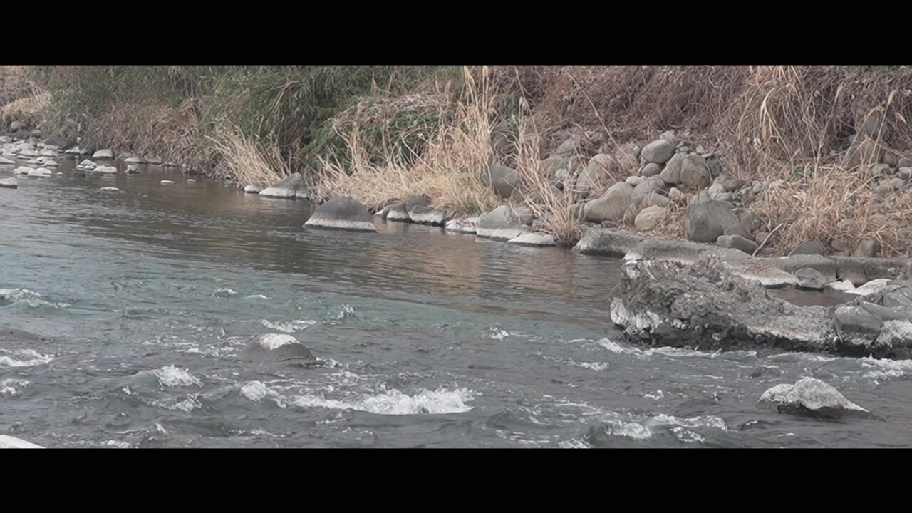 River whisper and piano peace of mind BGM