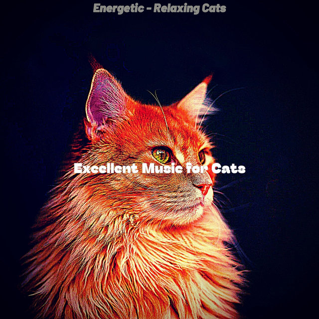 Energetic - Relaxing Cats