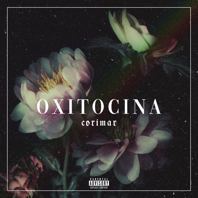 Oxitocina, Pt. 2