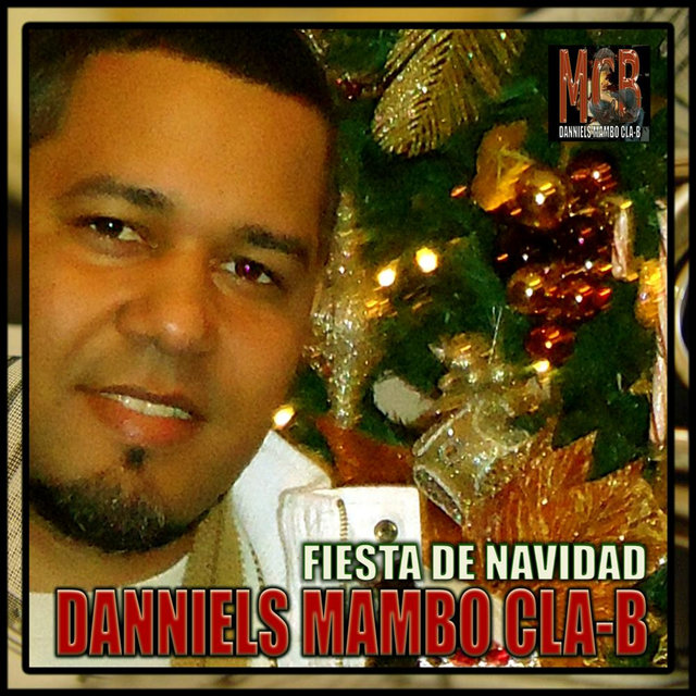 Fiesta de Navidad