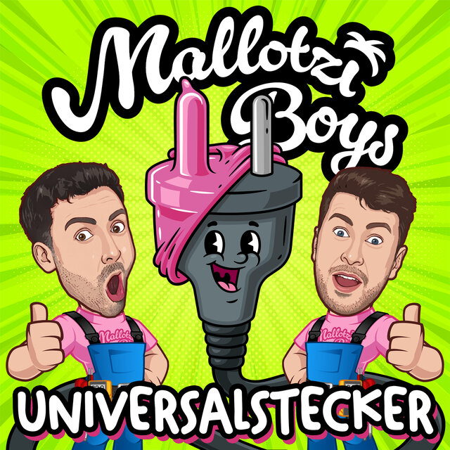 Universalstecker