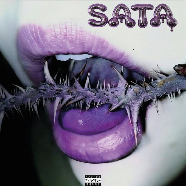 Sata (Slowed & Reverb)