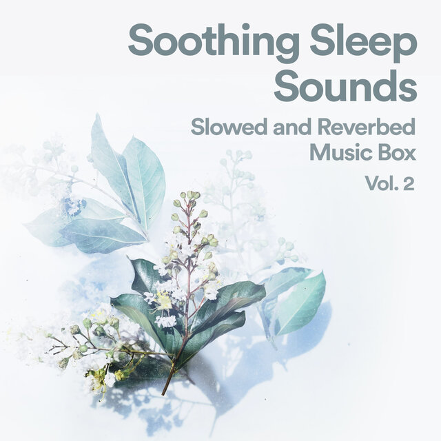 Soothing Sleep Sounds: Slowed and Reverb Music Box, Vol. 2