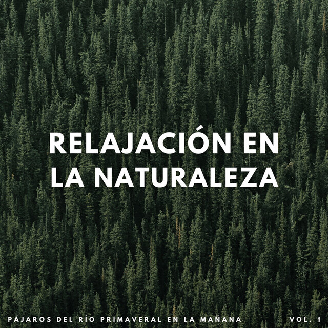 Relajación En La Naturaleza: Pájaros Del Río Primaveral En La Mañana Vol. 1