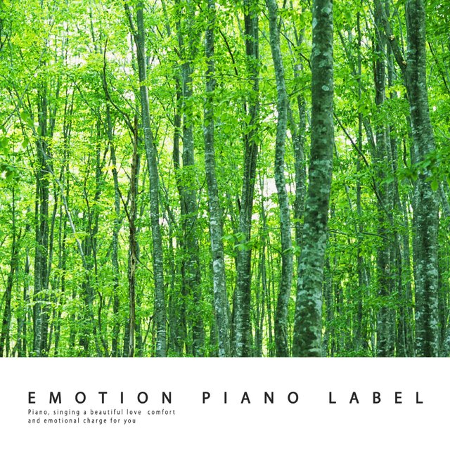 Meditation Time with Relaxing Music (Meditation Piano)