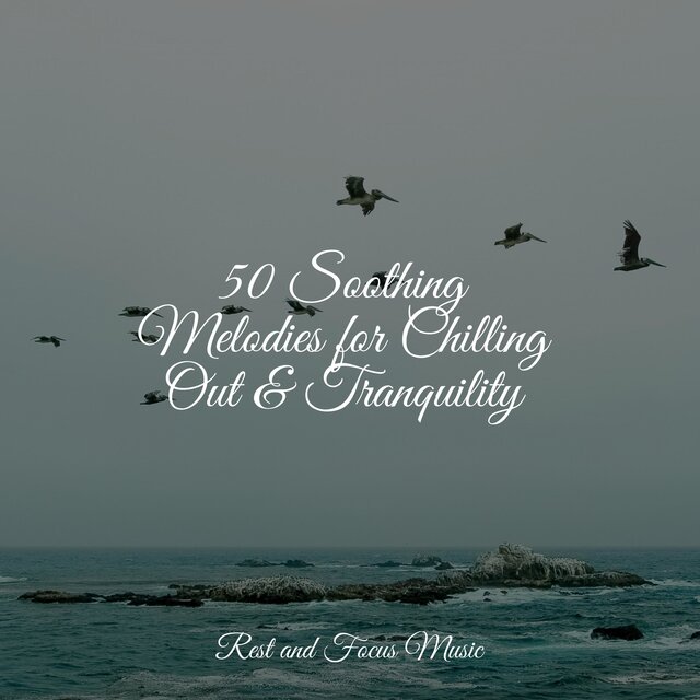 50 Soothing Melodies for Chilling Out & Tranquility
