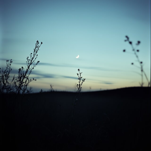 After Dark