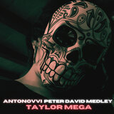 TAYLOR MEGA