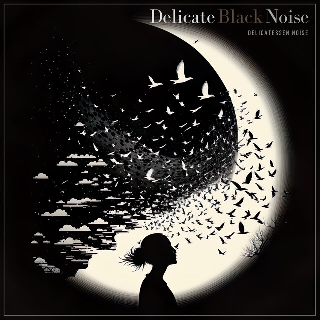Delicate Black Noise