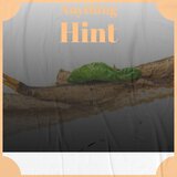 Anything Hint