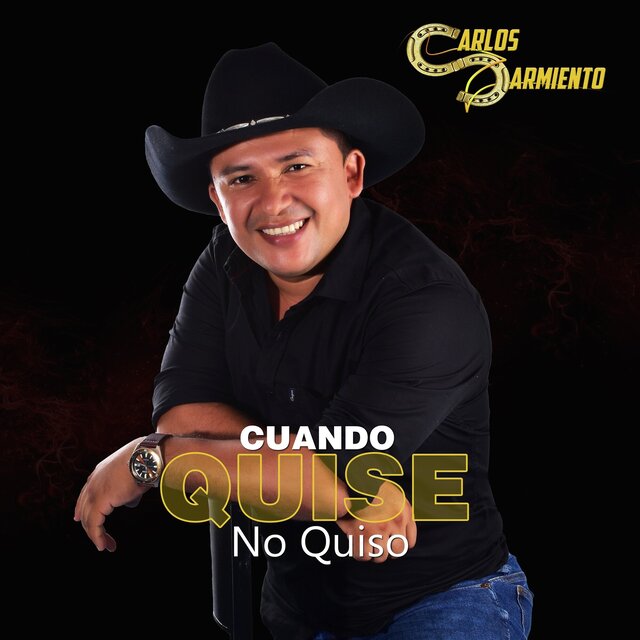 Cuando Quise No Quiso
