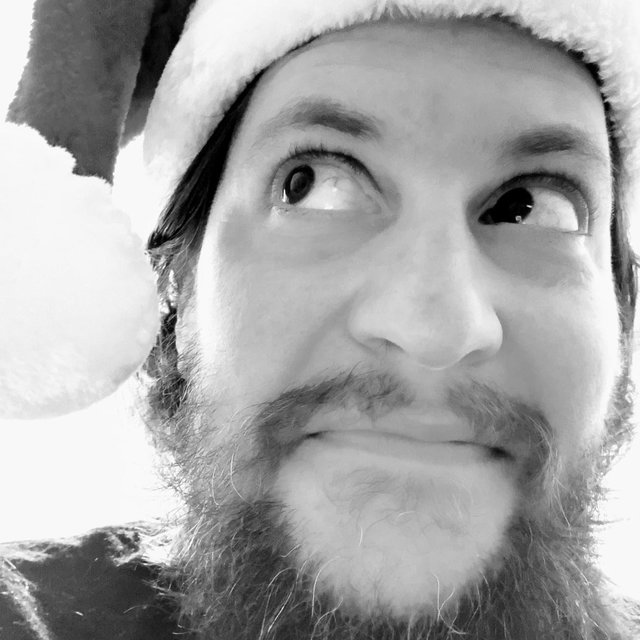 12 Days of Christmas