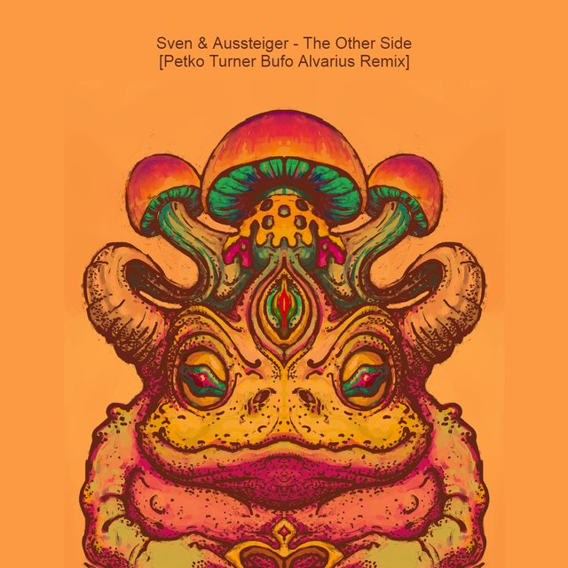 The Other Side (Petko Turner Bufo Alvarius Remix)