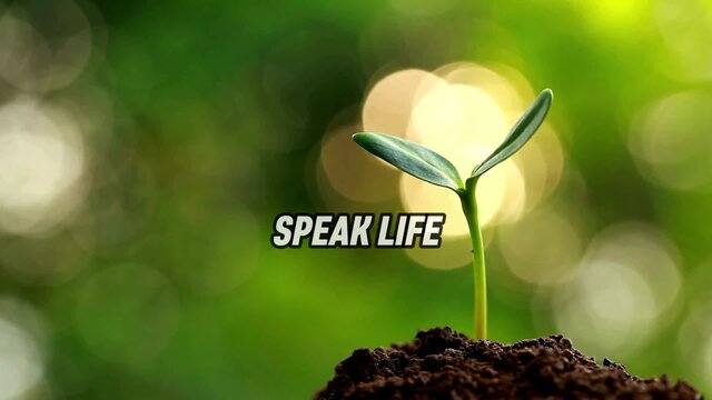 Speak Life (Lyric Video)