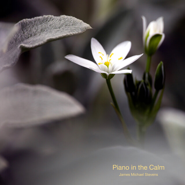 Piano in the Calm