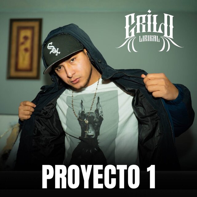 Proyecto 1