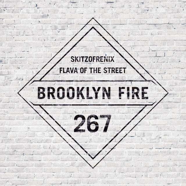 Flava of The Street