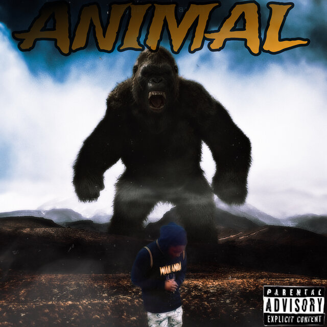 Animal