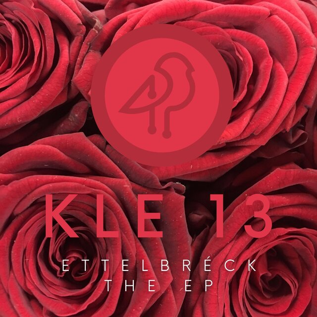 KLE 13