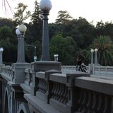 Solitude