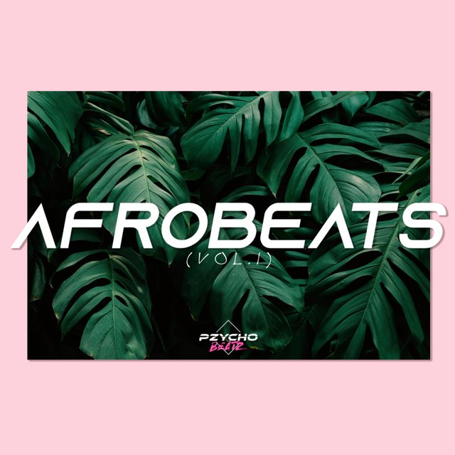 AFROBEATS INSTRUMENTAL, Vol. 1