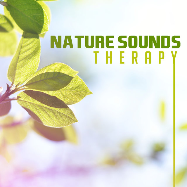 Nature Sounds Therapy – Peaceful Sounds to Rest, Healing Moments, Stress Relief, Relaxing Melodies
