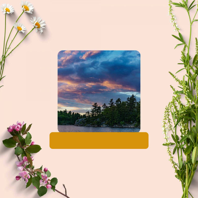 Calming Moments - Background Music