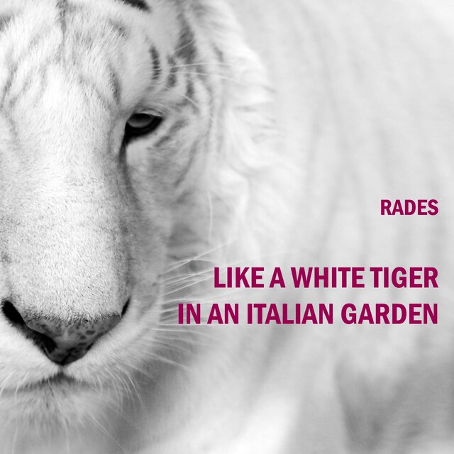 Like a white tiger in an Italian garden
