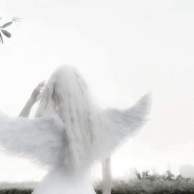 The Boy & The Seraphim