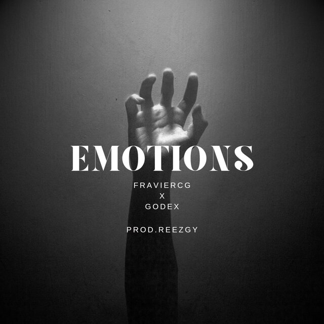 EMOTIONS (feat. godex)