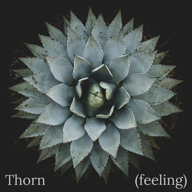 Thorn (Feeling)
