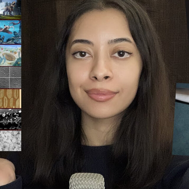 ASMR Evolution Iceberg