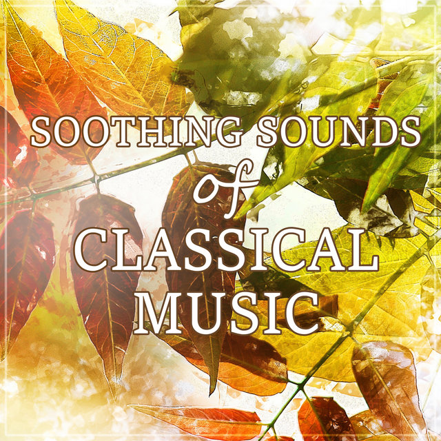 Soothing Sounds of Classical Music: Relax with Mozart Music, Calm Down Your Mind