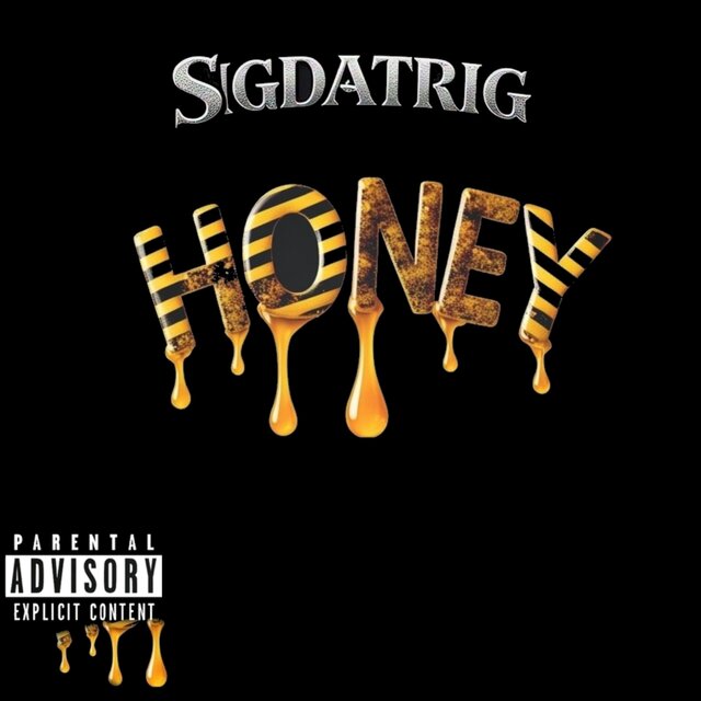 Cover art for album  by SIGDATRIG