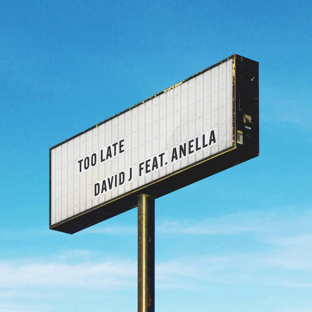 Too Late (feat. Anella)